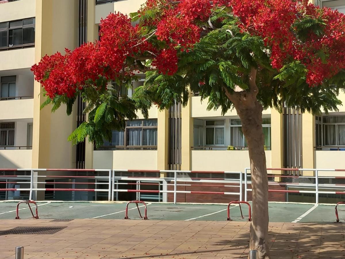 Tropical House Near Beach&Yumbo ซานบาร์โตโลเม ภายนอก รูปภาพ